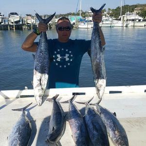 Meet your Posher, Justin